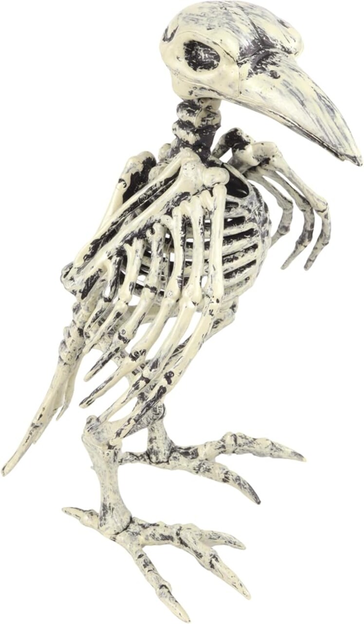 Halloween Skeleton Bird, Creepy Haunted House Crow Prop, Realistic Tabletop Decor, 8.5 Inches